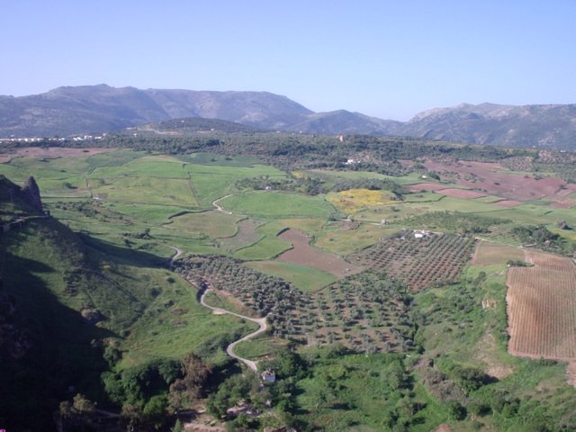 P5170012 Alameda del Tajo - Ronda